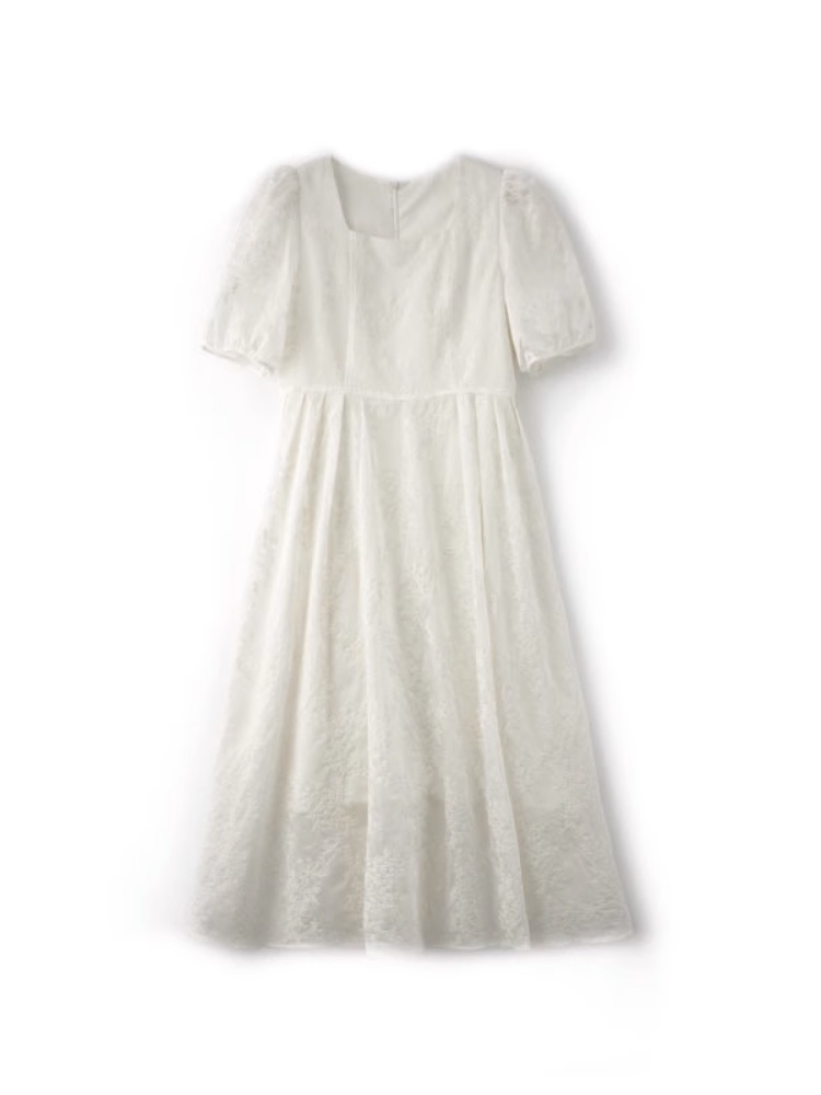 Embroidered fine cotton intellectuality dress for women