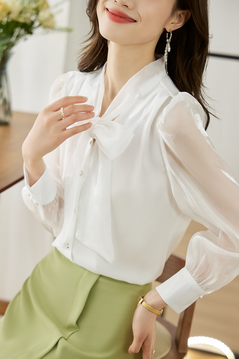 Frenum lantern sleeve shirt long sleeve niche tops