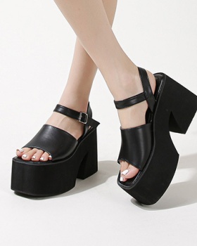 Summer thick sandals open toe high-heeled shoes for women