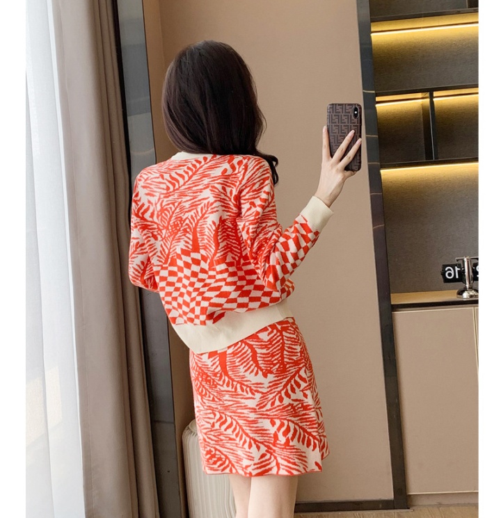 Temperament skirt knitted tops 2pcs set for women