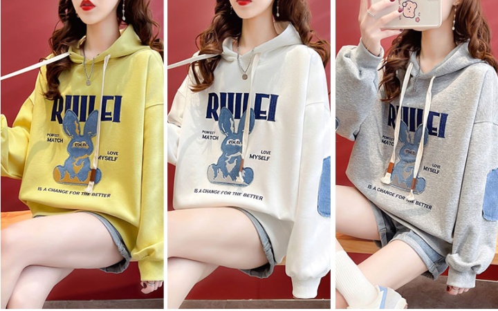 Thin long sleeve hoodie spring and autumn tops