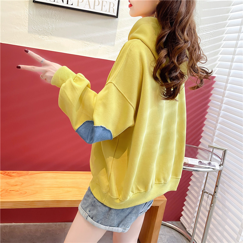 Thin long sleeve hoodie spring and autumn tops