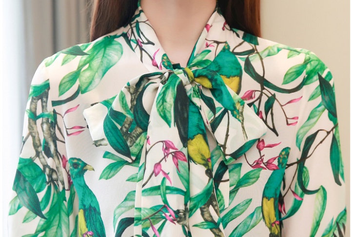 Temperament autumn tops long sleeve printing shirt for women