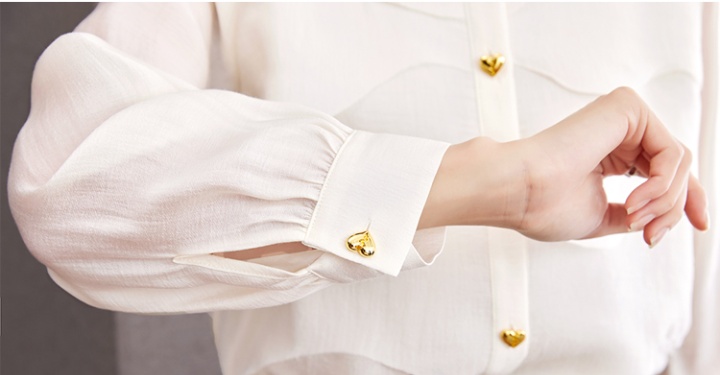 Autumn chiffon tops France style shirt for women
