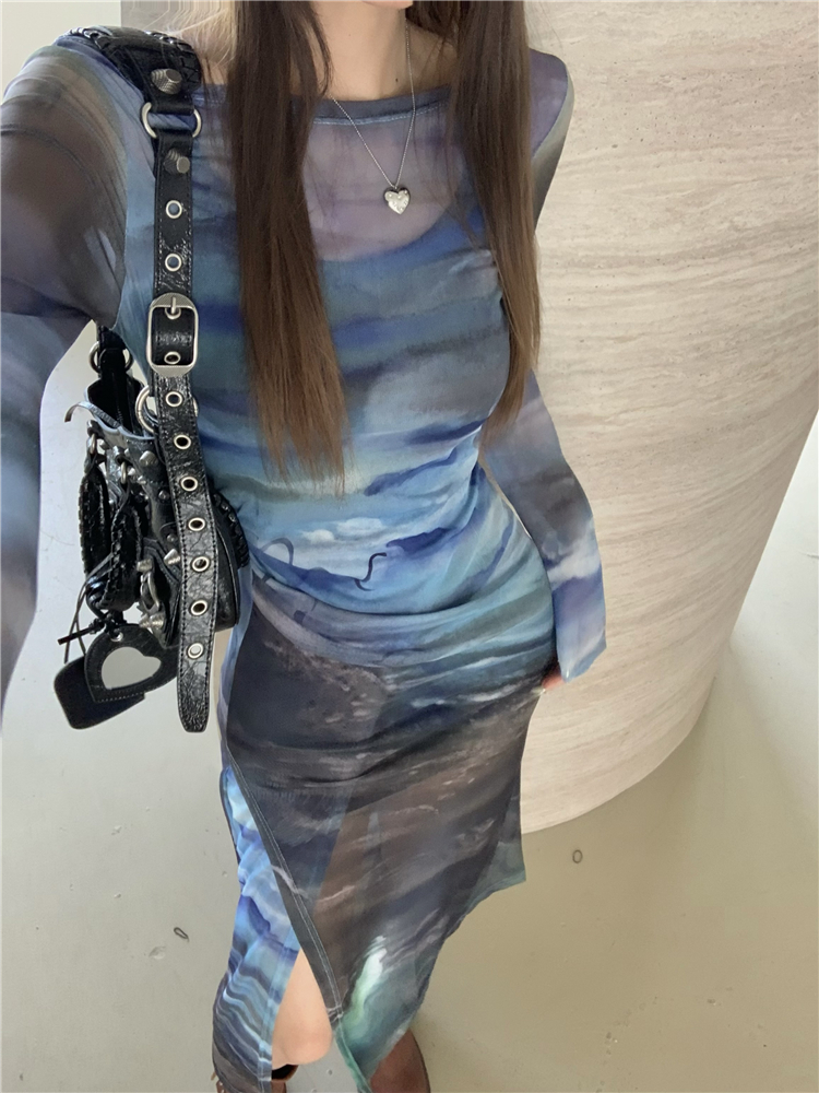Printing retro gauze split long sleeve bottoming sexy dress