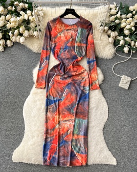 Spicegirl long sleeve printing dress for women