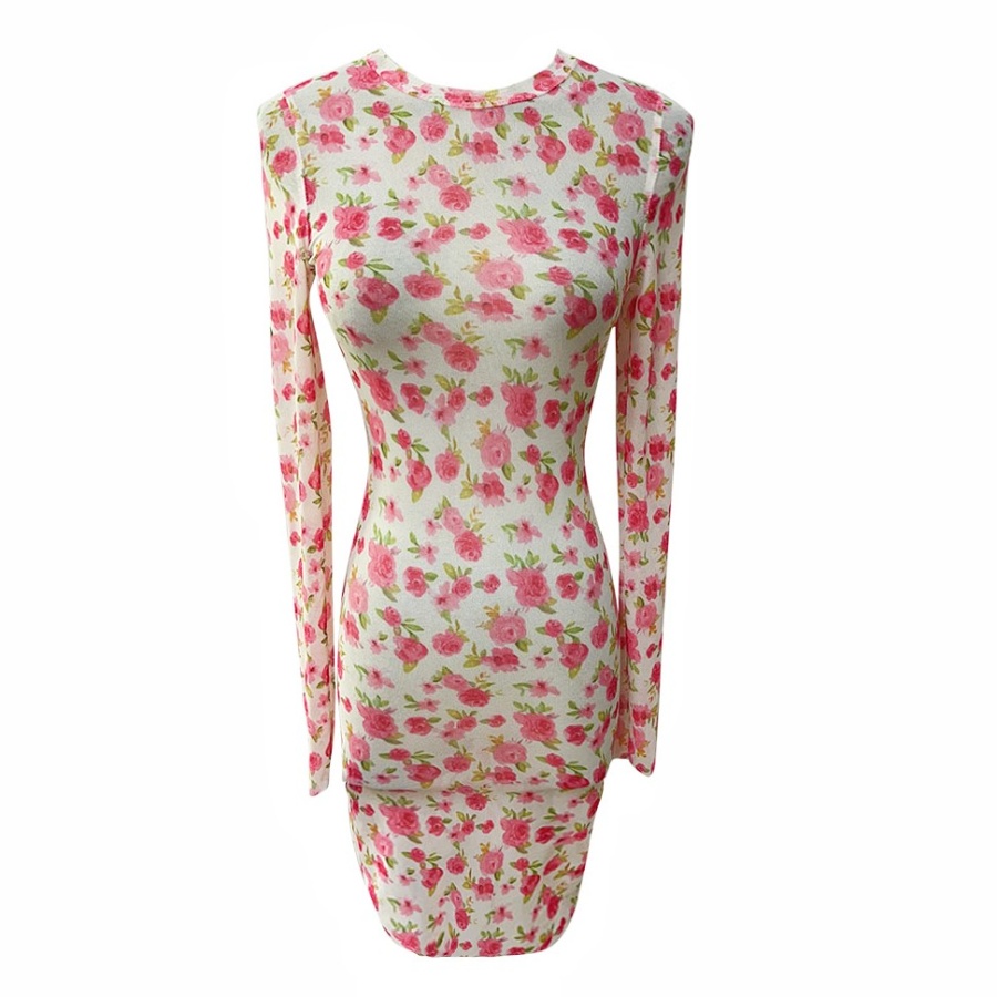 Floral autumn sexy perspective dress for women