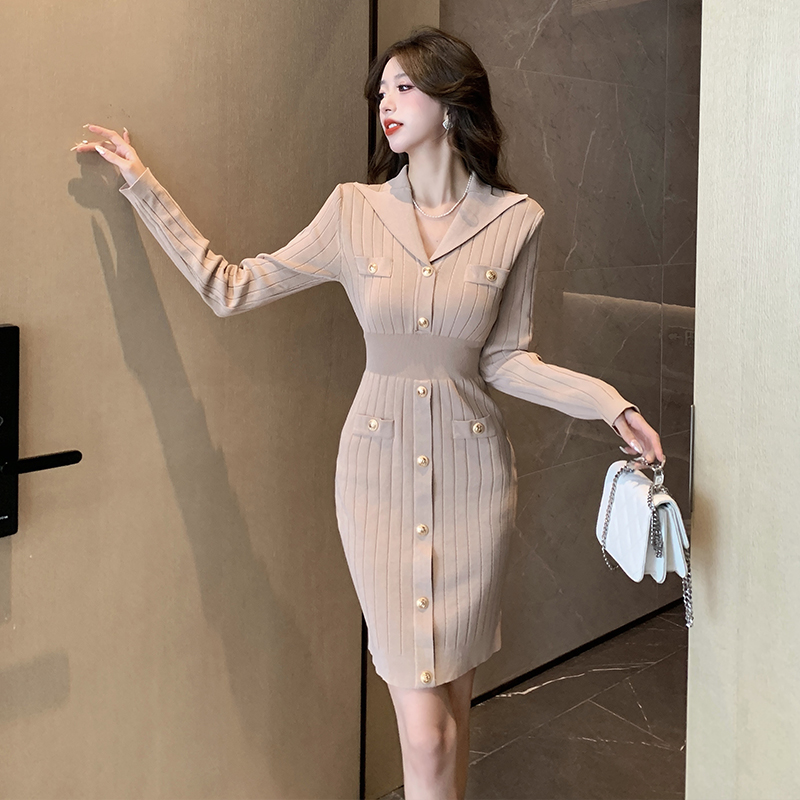 Fashion and elegant France style autumn and winter dress