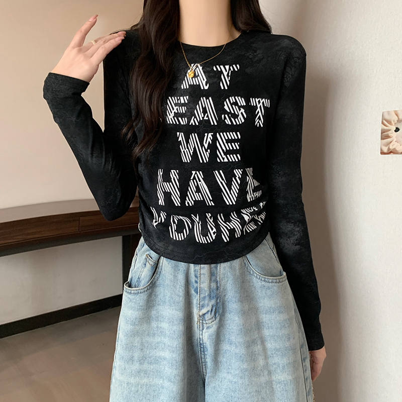 Spring and autumn tops long sleeve T-shirt for women