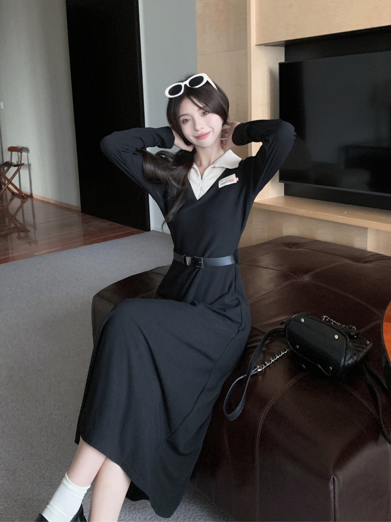 Long long sleeve slim pinched waist autumn temperament dress