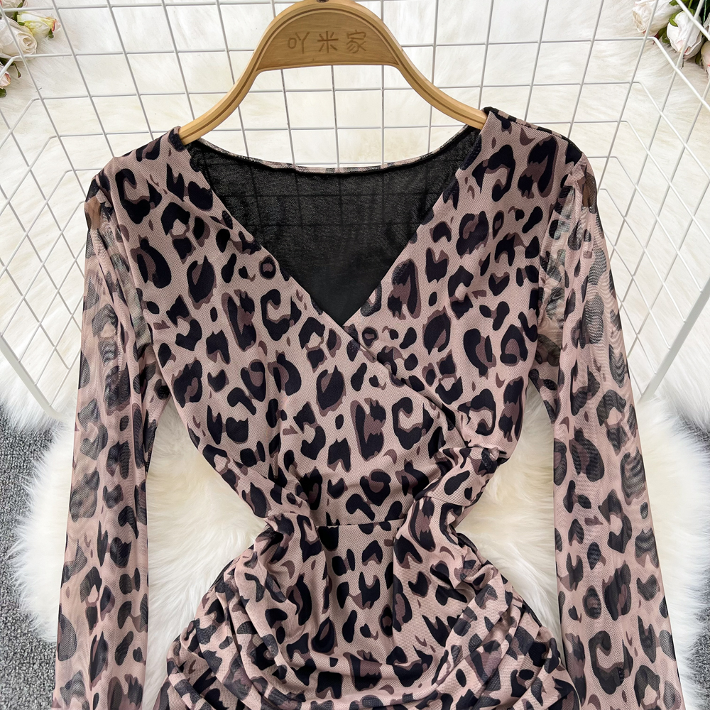 Long slim V-neck long sleeve ladies leopard printing light dress
