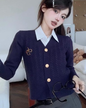 V-neck slim coat embroidery long sleeve sweater
