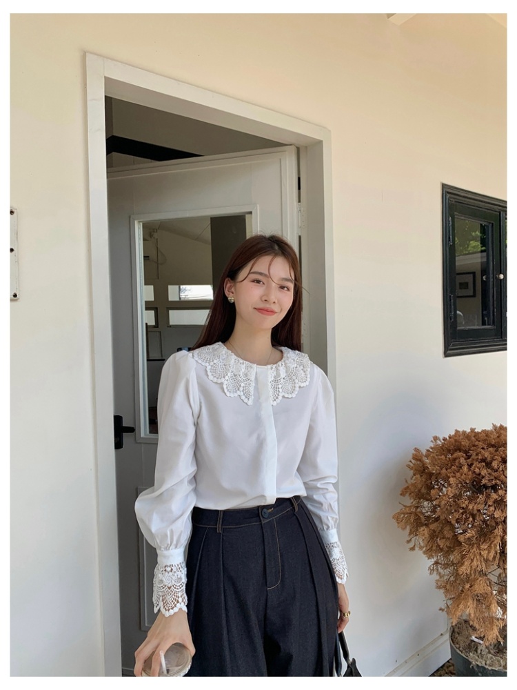 Commuting autumn temperament pure doll collar shirt for women