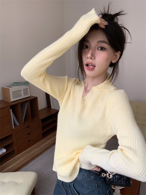Long sleeve thick pullover lapel bottoming knitted sweater