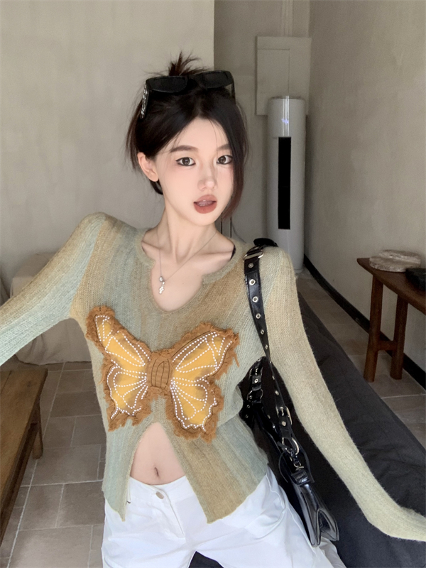 Long sleeve sweater butterfly bottoming shirt