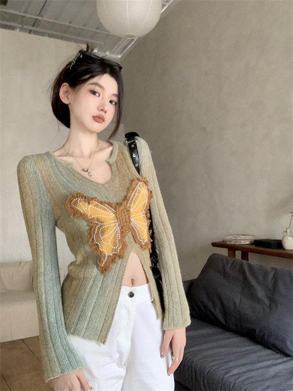 Long sleeve sweater butterfly bottoming shirt