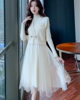 Korean style light dress knitted winter vest 2pcs set