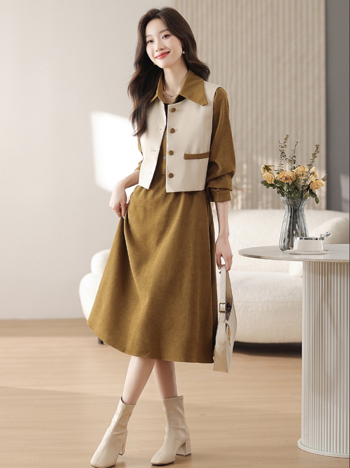 Fashionable long sleeve dress autumn shirt 2pcs set