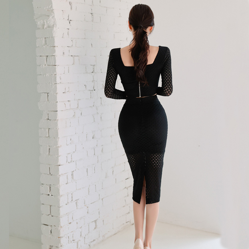 Slim fashion skirt grid Korean style tops 2pcs set