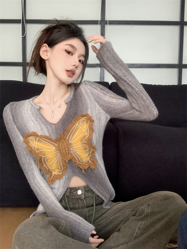 Autumn and winter sweater butterfly bottoming shirt