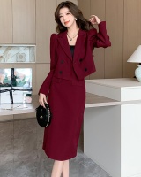 Autumn and winter long skirt show young coat a set