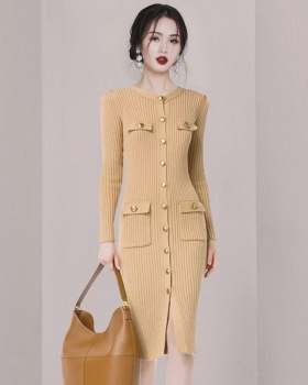 Long sleeve sweater fashion and elegant dress for women