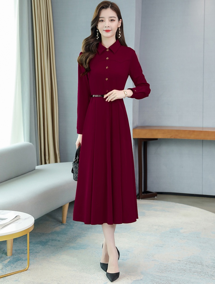 Long long sleeve slim Korean style autumn dress for women
