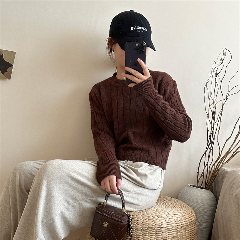 Slim twist autumn sweater brown pullover retro tops for women