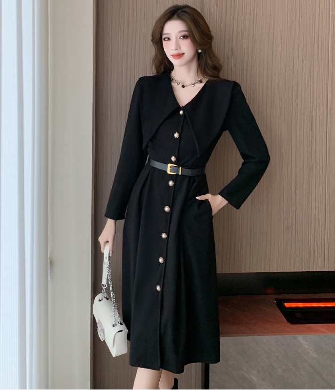 A-line single-breasted retro dress for women