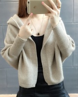 Hooded loose cardigan Korean style outside the ride coat for women
