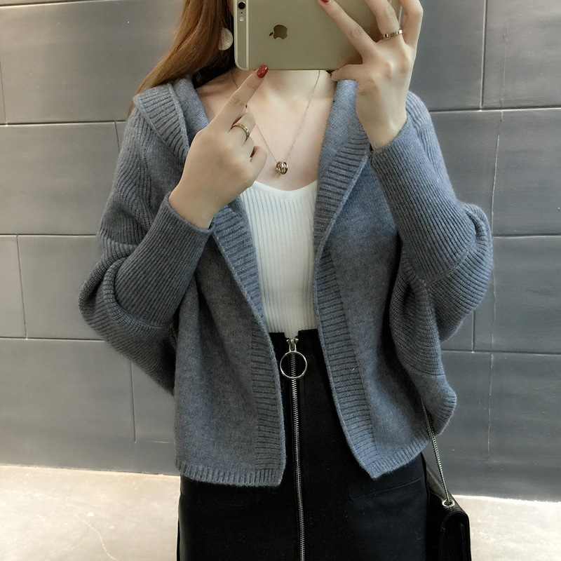 Hooded loose cardigan Korean style outside the ride coat for women