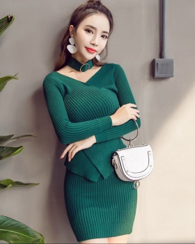 Knitted autumn and winter skirt Korean style tops 2pcs set