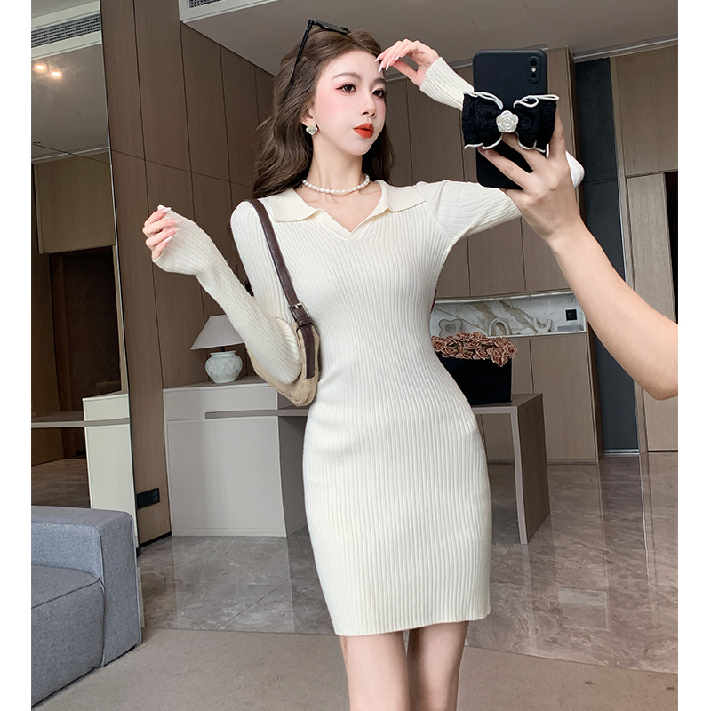 Autumn and winter dress package hip sweater for women