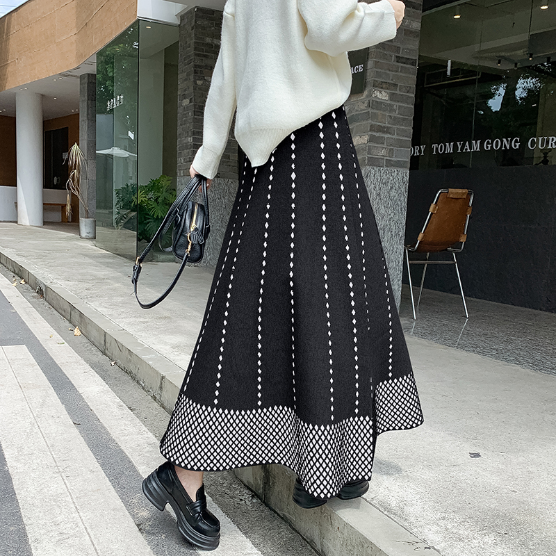 Big skirt A-line long skirt Korean style skirt for women