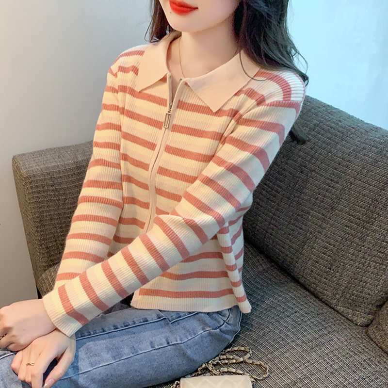 All-match double zip cardigan stripe niche sweater