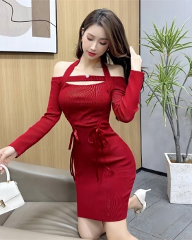 Long sleeve pullover sweater slim knitted dress