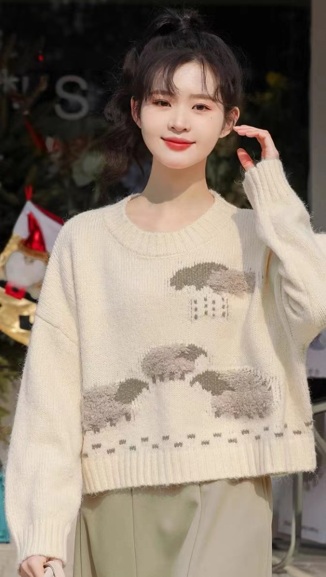 Cartoon spring and autumn tops embroidery sweater for women