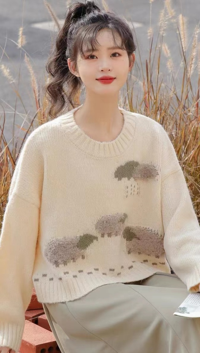 Cartoon spring and autumn tops embroidery sweater for women