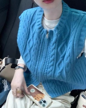 Autumn Korean style sweater sleeveless blue vest for women