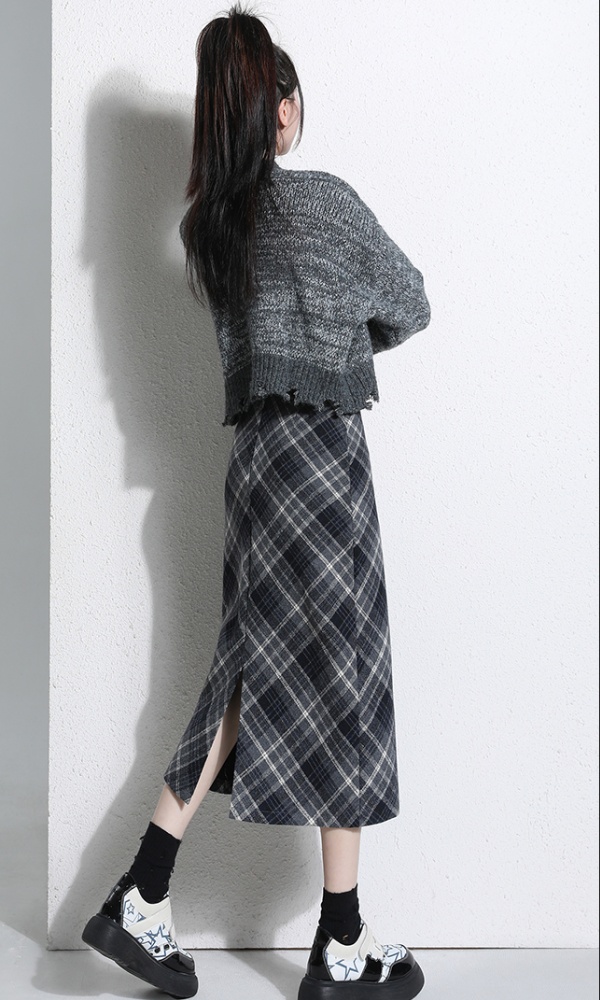 Autumn and winter A-line long dress straight skirt for women
