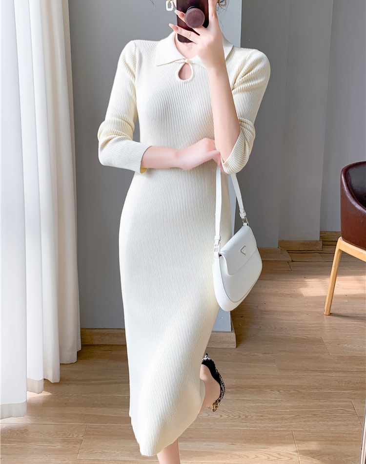 Light bottoming dress Chinese style package hip overcoat