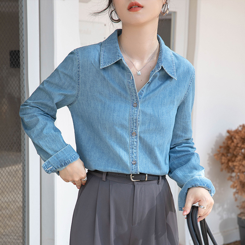 Blue niche tops spring and autumn shirt for women