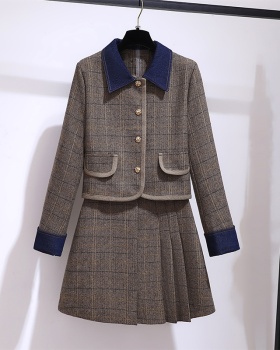 Fashion small dress autumn coat 2pcs set for women