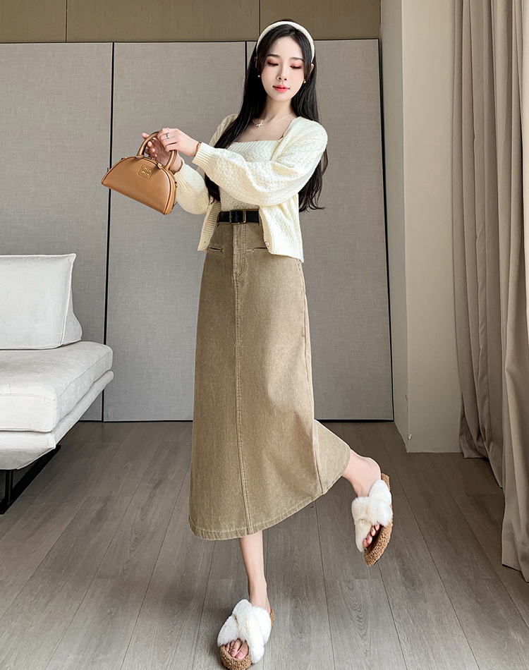 Autumn and winter long short skirt high waist skirt for women