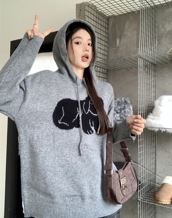 Gray puppy loose niche wears outside hooded sweater