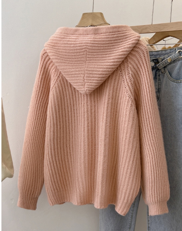 Hooded lazy cardigan autumn and winter double zip sweater