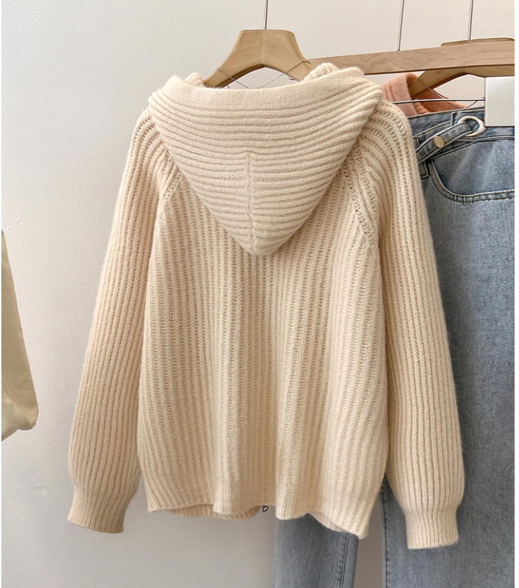 Hooded lazy cardigan autumn and winter double zip sweater