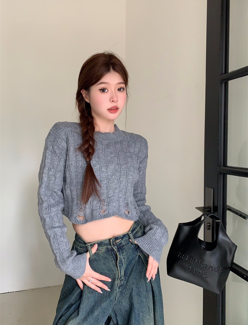 Knitted Korean style autumn and winter twist sweater
