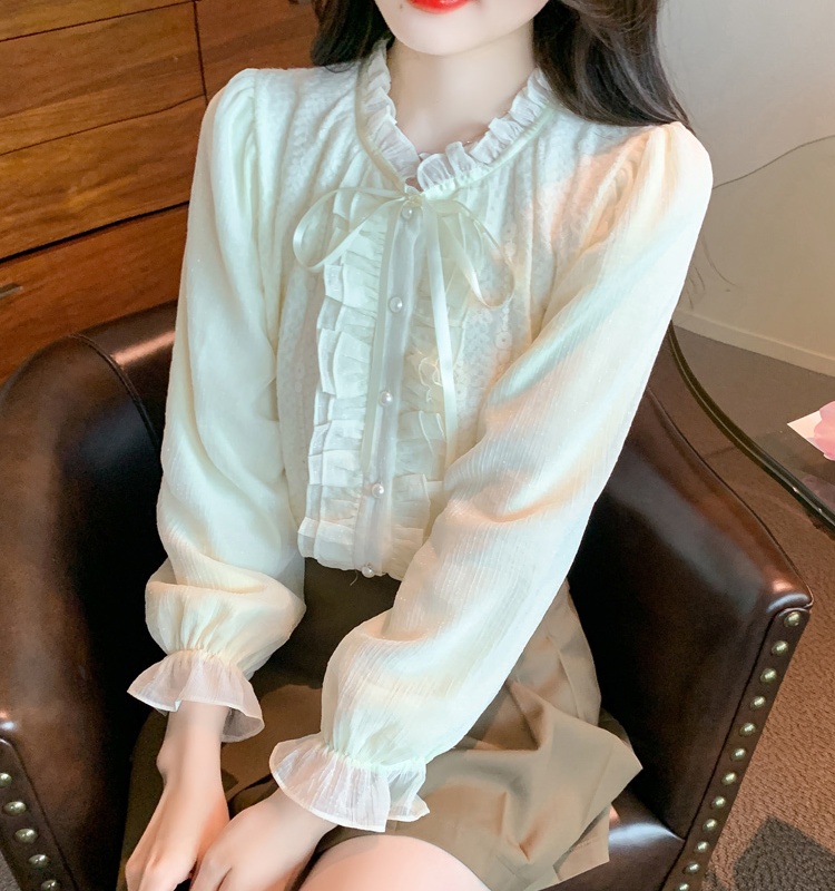 Long sleeve lace shirt puff sleeve tops for women