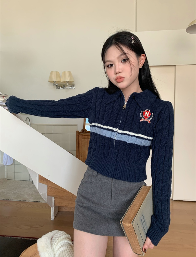 Zip college style short coat Korean style lapel sweater